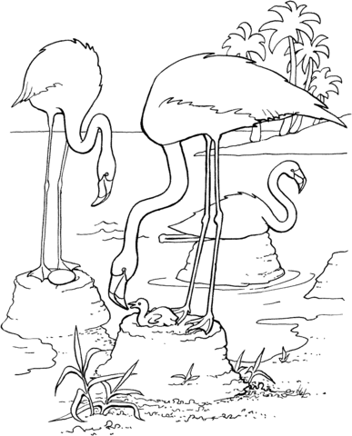 Flamingo With Baby Flamingo Coloring Page